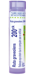 variant:80 pellets