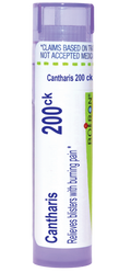 variant:80 pellets