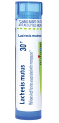 variant:80 pellets