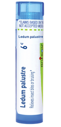 variant:80 pellets