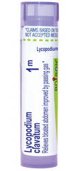 variant:80 pellets