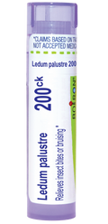 variant:80 pellets