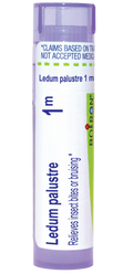variant:80 pellets