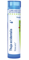 variant:80 pellets