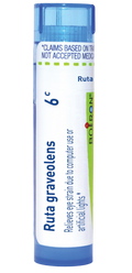 variant:80 pellets