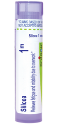 variant:80 pellets